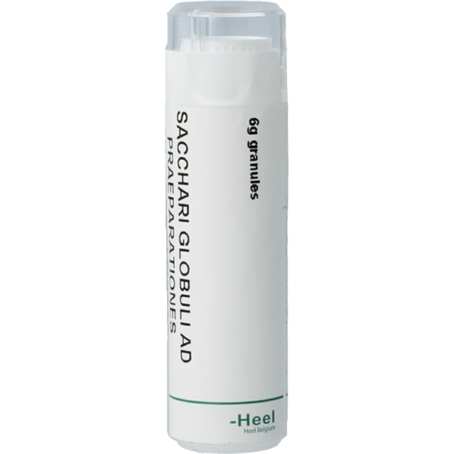 Homeoden Heel Saccharum officinalis/Placebo Globuli 6 Gramm
