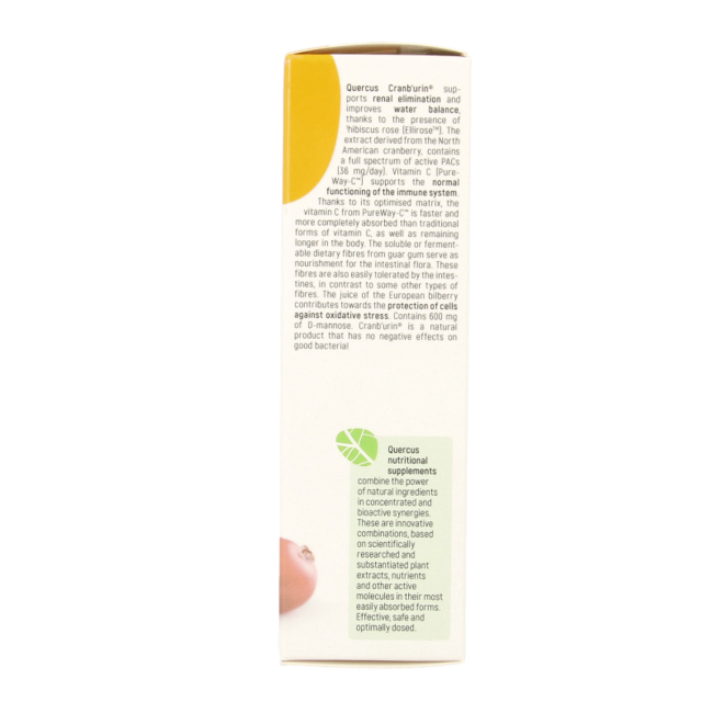 Quercus Cranburin 15 Stick