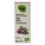 Oak Thymian Thymol Bio 10 ml