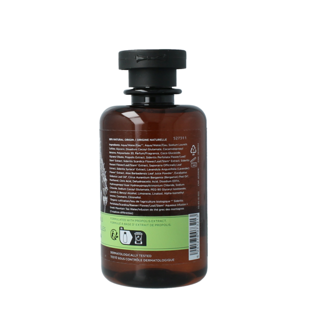 Żel pod prysznic tonic mountain tea 250 mililitrów