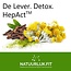 Hepact formule hépatique 90 Gélules