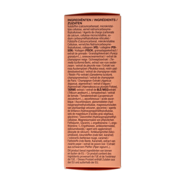Beauty mushroom 60,00 comprimés