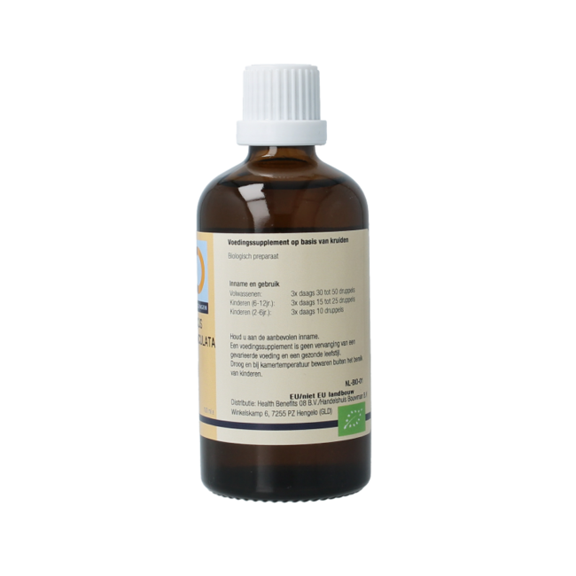 Quercus pedunculata 100 ml