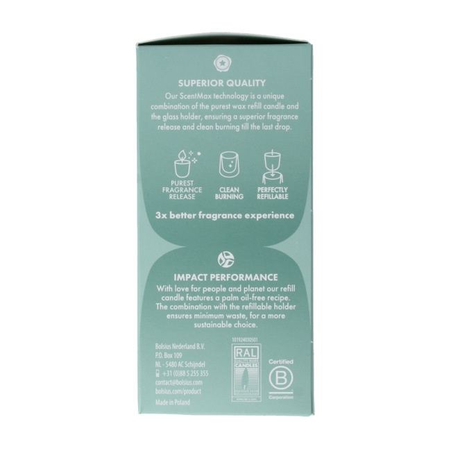 Clean Light Cyprys i Bursztyn wkład uzupełniający, 2 sztuki