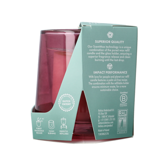 Kit de inicio Clean light madera de cedro y vetiver 1 unidad