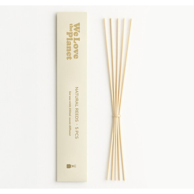 Bâtonnets diffuseurs en roseau naturel pour diffuseur 250 ml 5 pièces
