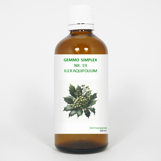 Balancepharma Balancepharma Gemmo simplex 19 Ilex aquifolium 100 Millilitre