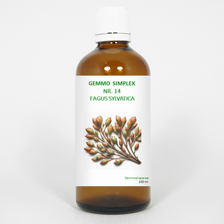 Balancepharma Balancepharma Gemmo simplex 14 fagus sylvatica 100 Millilitres