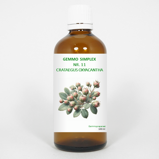 Balancepharma Balancepharma Gemmo simplex 11 crataegus oxyacantha 100 ml
