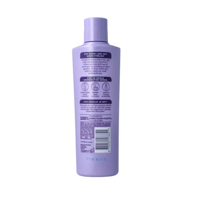 Shampoo Glanz & Pflege 250 Milliliter