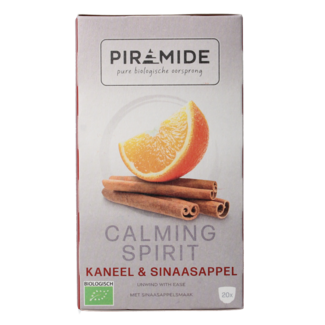 Piramide Calming spirit bio 20 Bags