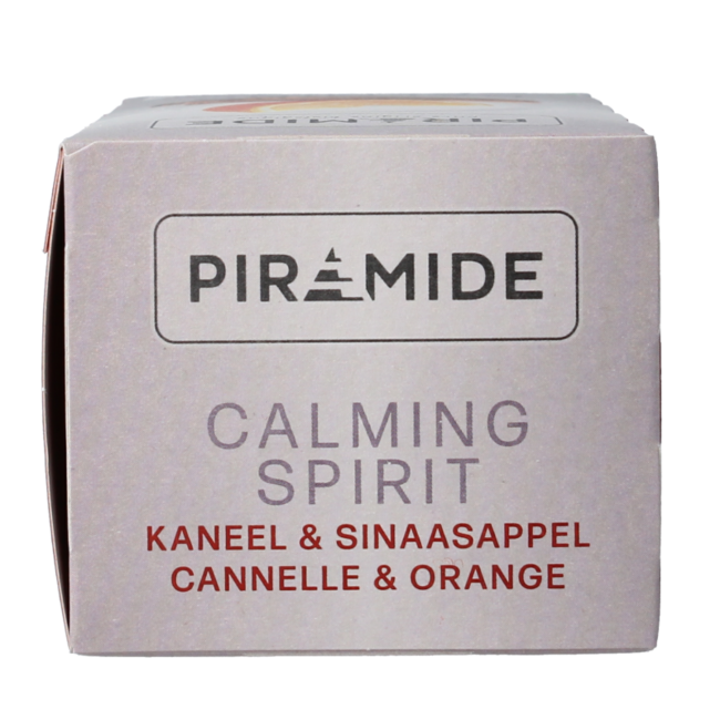 Tè Biologico Calming Spirit (20 Bustine)