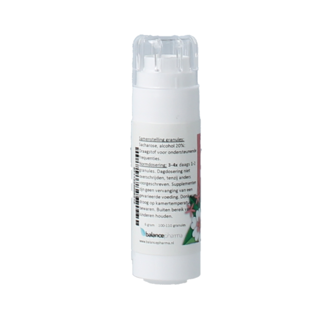 Balancepharma HFP037 Metabolisme flowerplex 6,00 Gramm