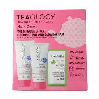 Teaology Teaology Peach Tea Haarpflegeset 1 Stück