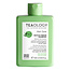 Teaology Matcha Repair Shampoo 250 Milliliter