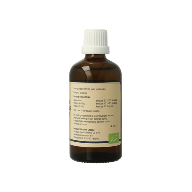 Carpinus betulus bio 100 Milliliter