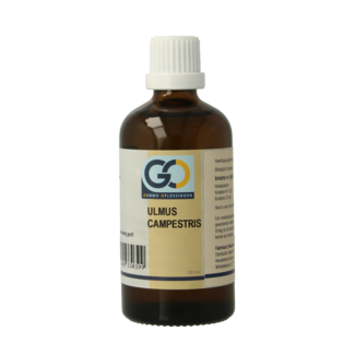 GO GO Ulmus campestris organic 100 Millilitres