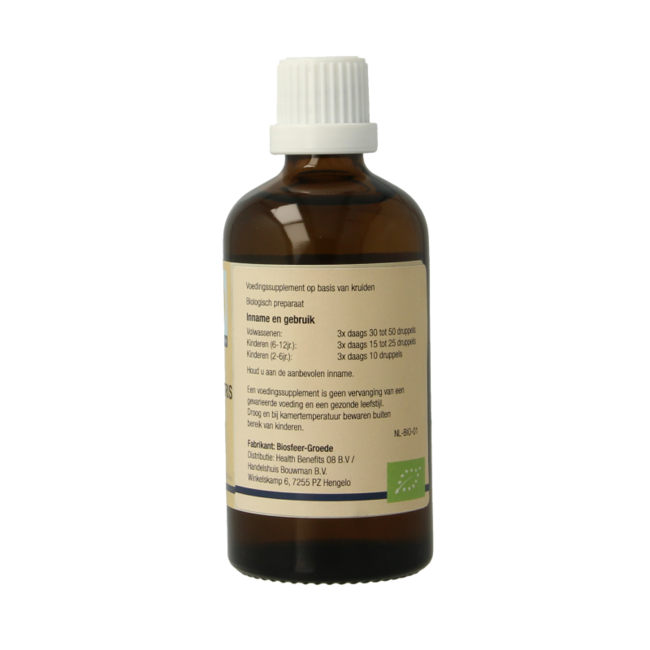 GO Ulmus campestris organic 100 Millilitres