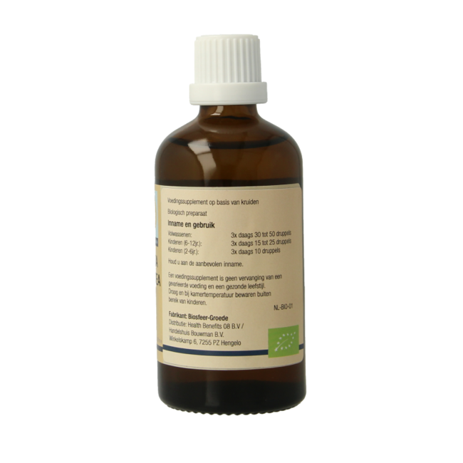 Sequoia gigantea organic 100 Millilitres