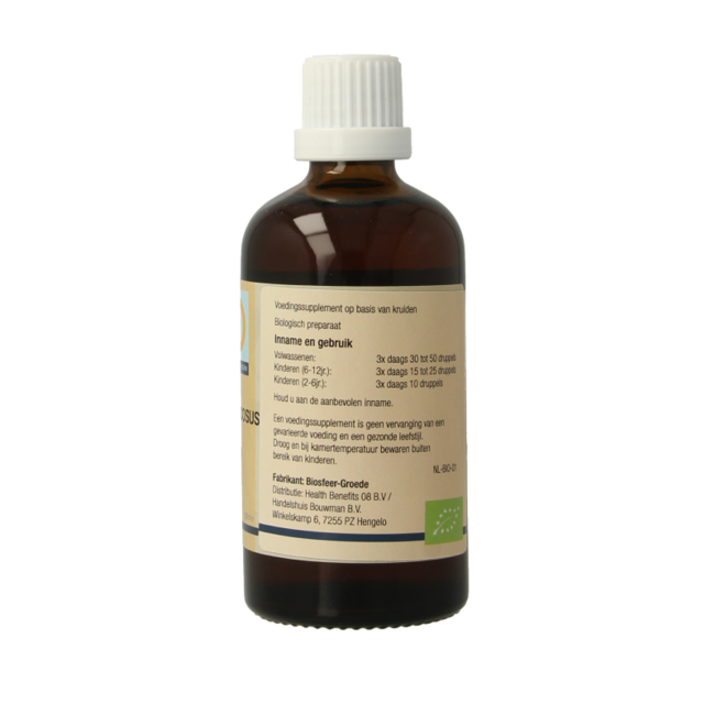 GO Rubus fruticosus bio 100 Milliliter