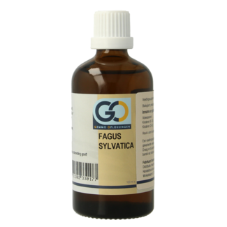 GO Fagus sylvatica organic 100 Millilitres