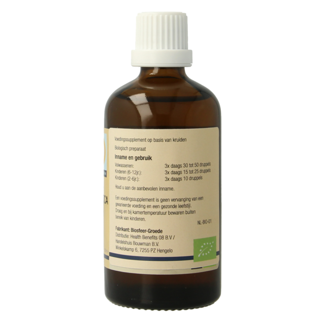 Fagus sylvatica organic 100 Millilitres