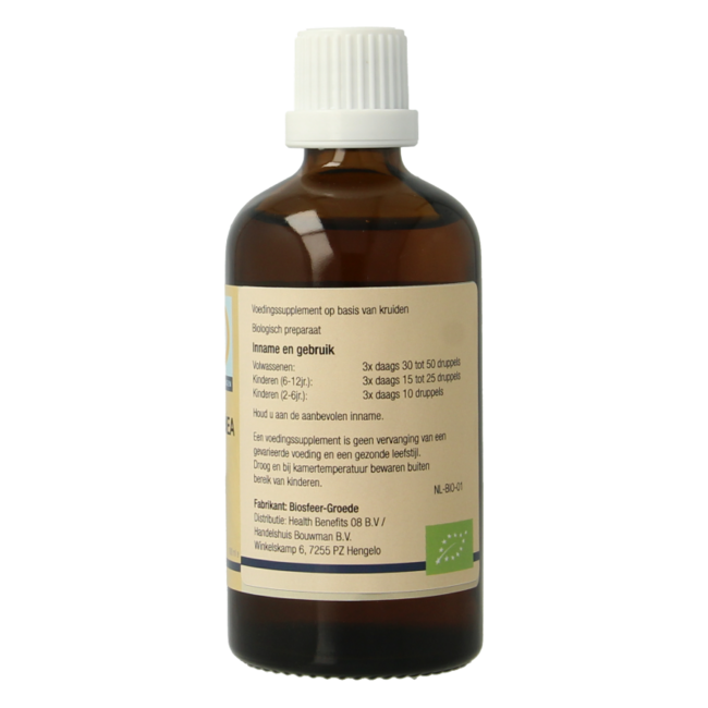 GO Castanea vesca organic 100 Millilitres