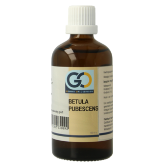 GO Betula pubescens organic 100 Millilitres