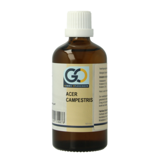 GO GO Acer campestris organic 100 Millilitres