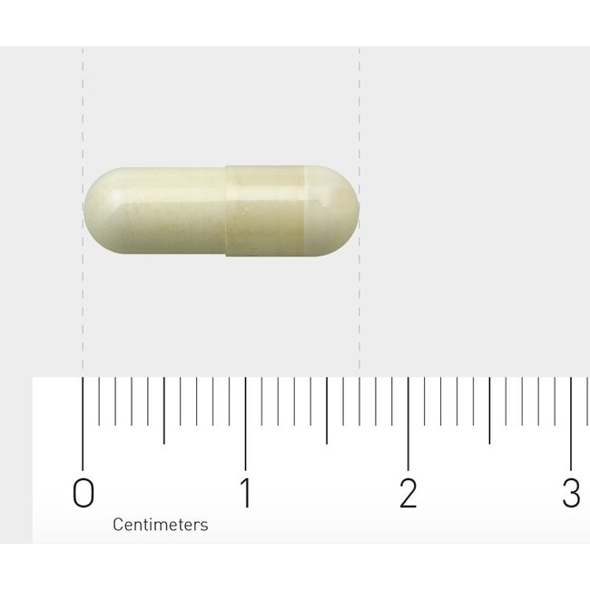 AOV 220 Pyridoxal-5-phosphate 120 Gélules végétales