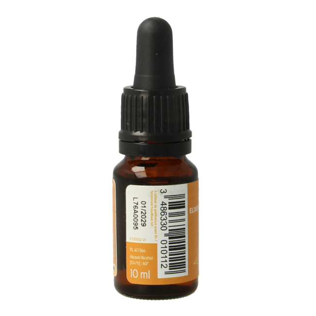 Ladrome Chicorée bio 10 ml