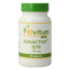 Elvitum Co-enzym Q10 sunactive 100mg 90 Vegetarische capsules