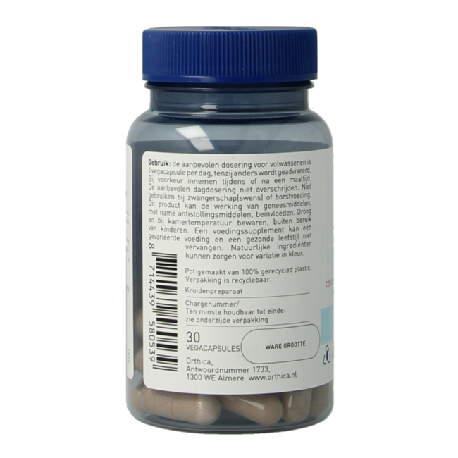 Ginkgo 30 Vegetarian capsules