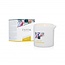 Bougie de Massage Exotiq Ylang Ylang 60 Grammes