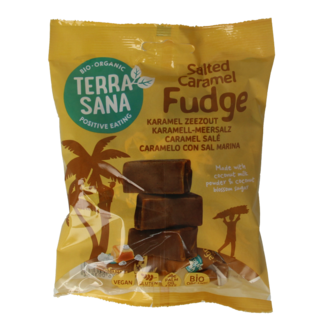 TerraSana Fudge caramel sea salt organic 150 Gram