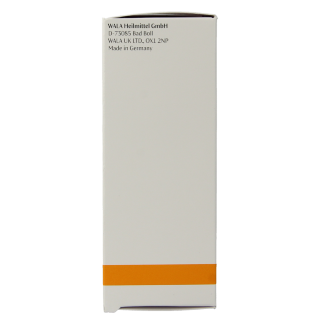 Dr. Hauschka Facial Toner travel size 30 Millilitres