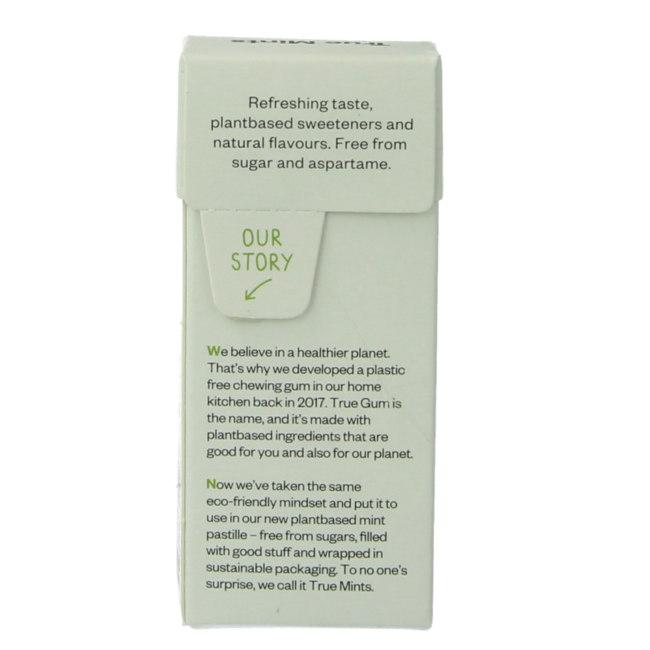 Fresh mint sugar-free 13 Gram