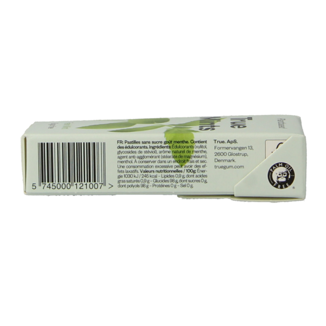 Fresh mint sugar-free 13 Gram