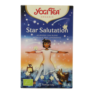Yogi Tea Star salutation bio 17 bolsitas