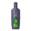 Every Day Shampoo 300ml