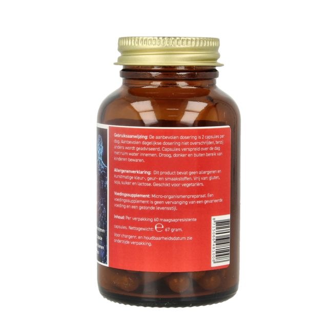 Rein natürliche Probiotika & Enzyme 60 vegetarische Kapseln