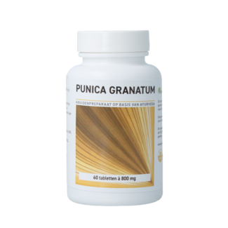 Ayurveda Health Ayurveda Health Granat (Punica granatum) 60 tabletek