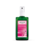 Wild Rose Deodorant 100 Millilitres