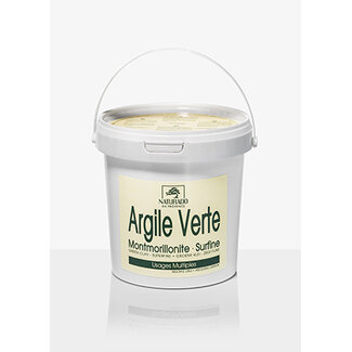 Naturado Arcilla verde montmorillonita cubo 1 Kilogramo