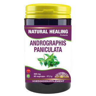 NHP Andrographis paniculata 500mg puur 60 Vegetarische capsules