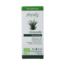 Organic Citronella 30 Millilitres