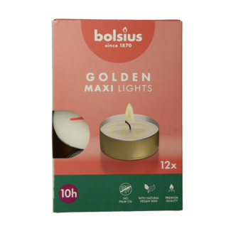 Bolsius Maxi-Teelichter 10 Stunden weiß mit goldener Hülle 12 Stück