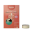 Crystal Maxi-Teelichter 8 Stunden Schachtel 12 Stück