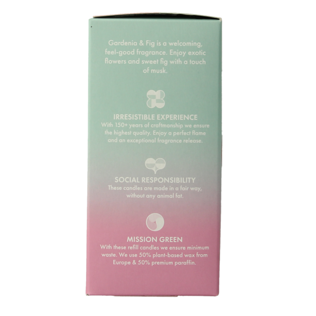 Recambio Clean Light gardenia e higo 2 unidades