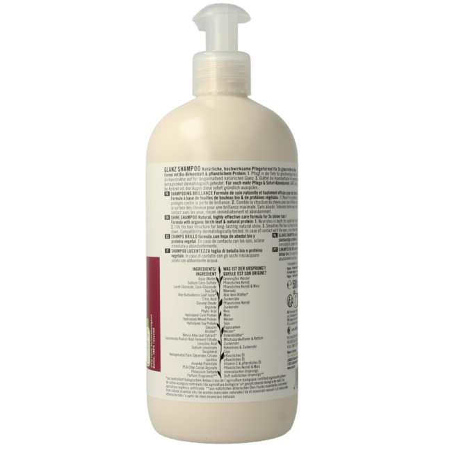 Familien-Shampoo Birke & pflanzliches Protein 500 ml